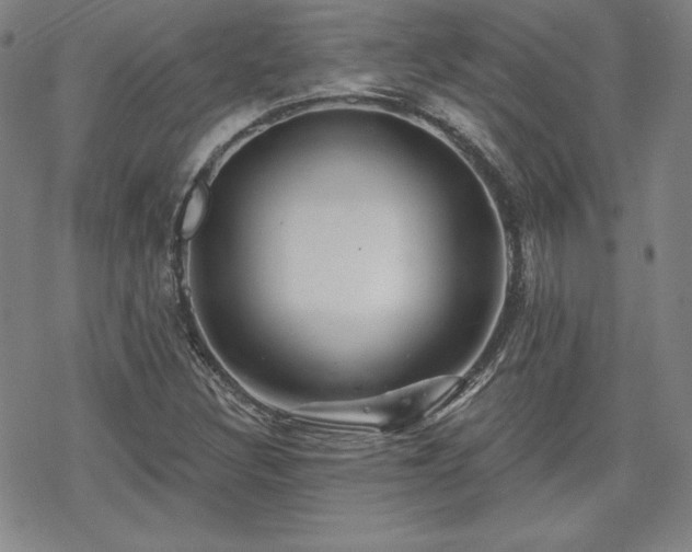 X0000070181308200606021022