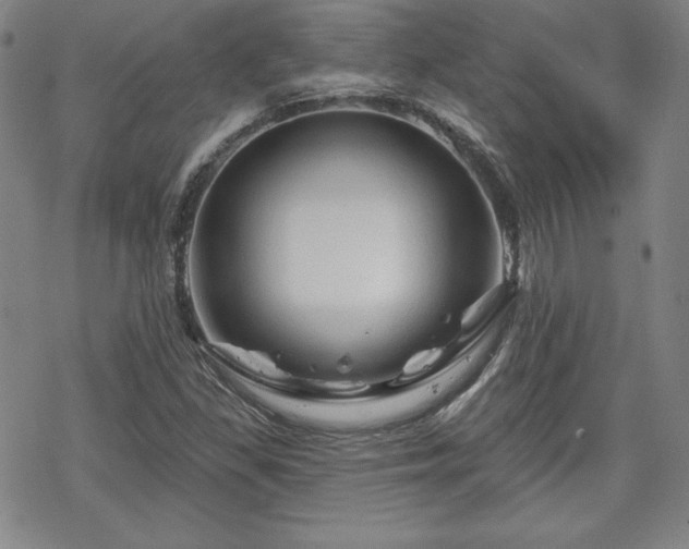 X0000070181309200606021022