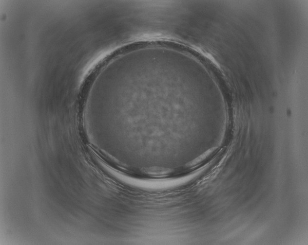 X0000070181311200606021022