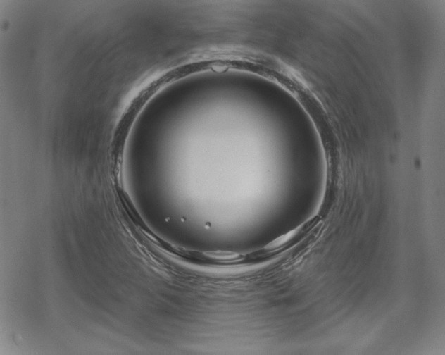 X0000070181312200606021022