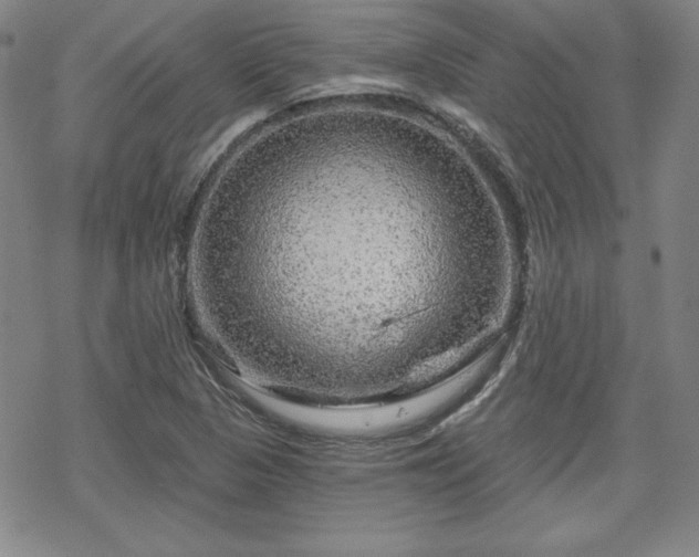 X0000070181313200606021022