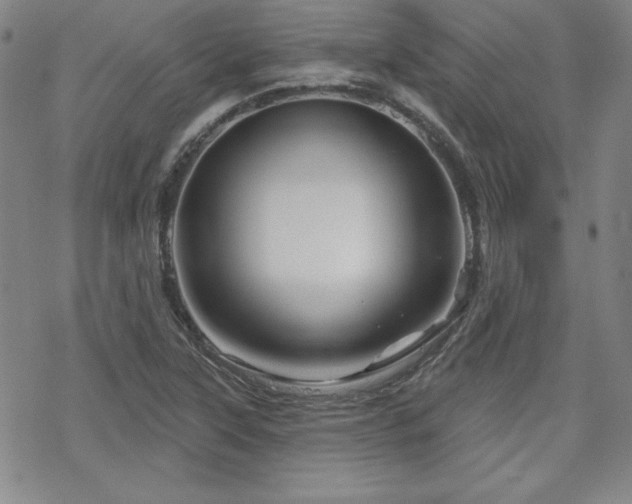 X0000070181315200606021022