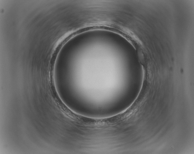 X0000070181316200606021022