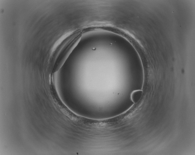 X0000070181317200606021022