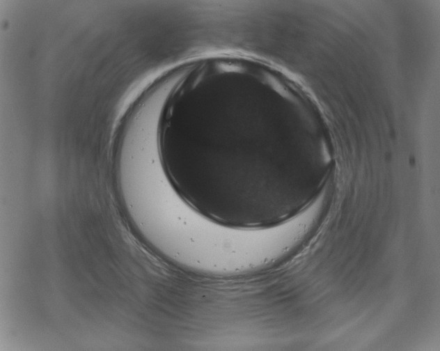 X0000070181319200606021022