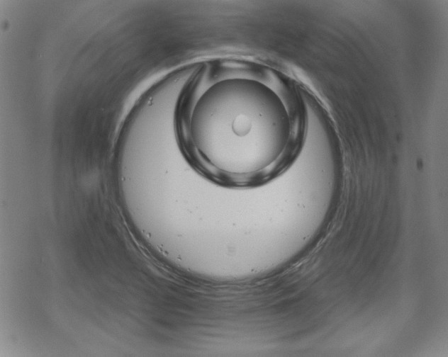 X0000070181320200606021022