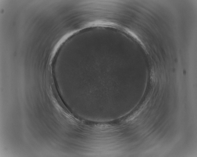 X0000070181323200606021023