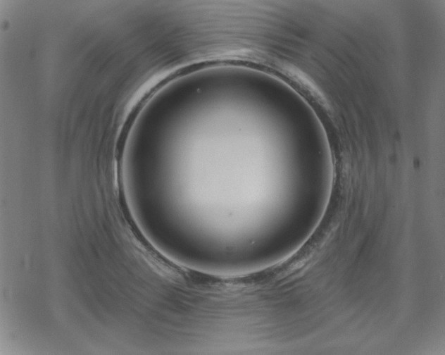 X0000070181324200606021023