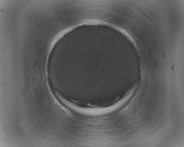 X0000070181327200606021023