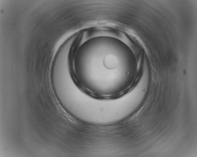 X0000070181328200606021023