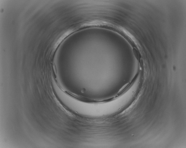 X0000070181329200606021023