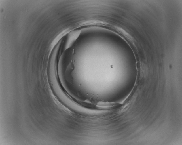 X0000070181330200606021023