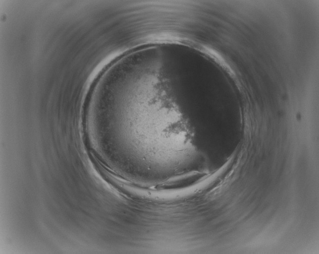 X0000070181331200606021023