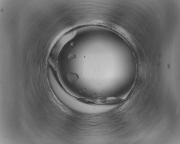 X0000070181332200606021023