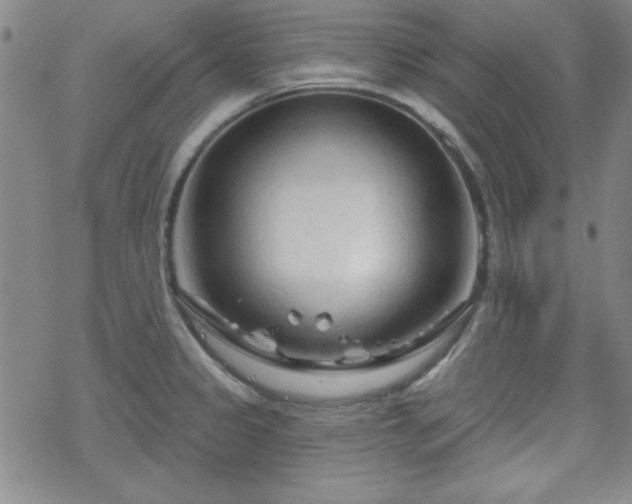 X0000070181333200606021023