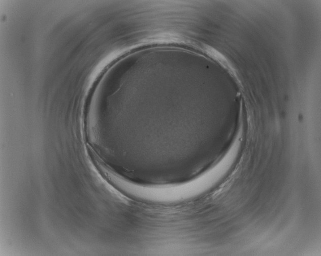 X0000070181334200606021023