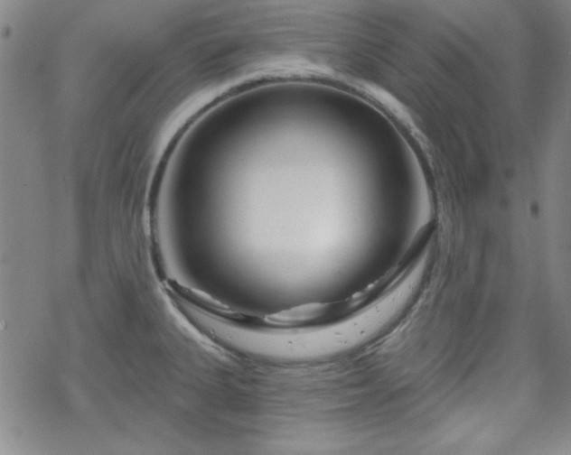 X0000070181335200606021023