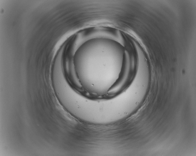 X0000070181336200606021023