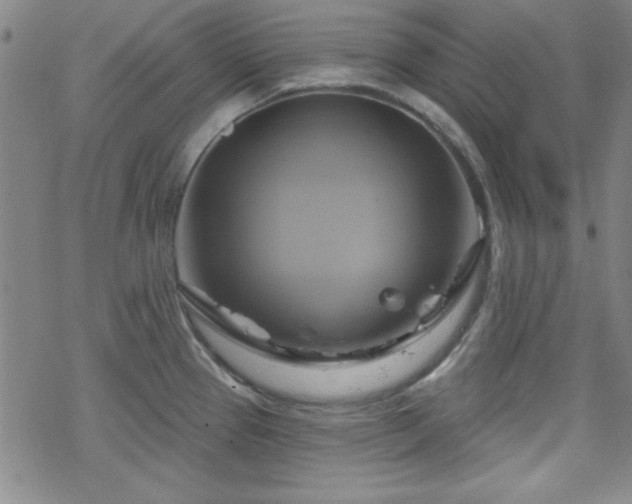 X0000070181337200606021023