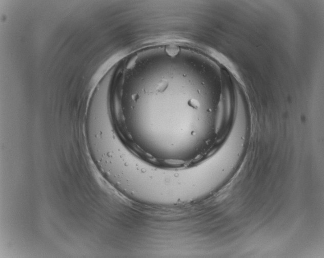 X0000070181338200606021023