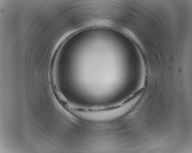 X0000070181339200606021023