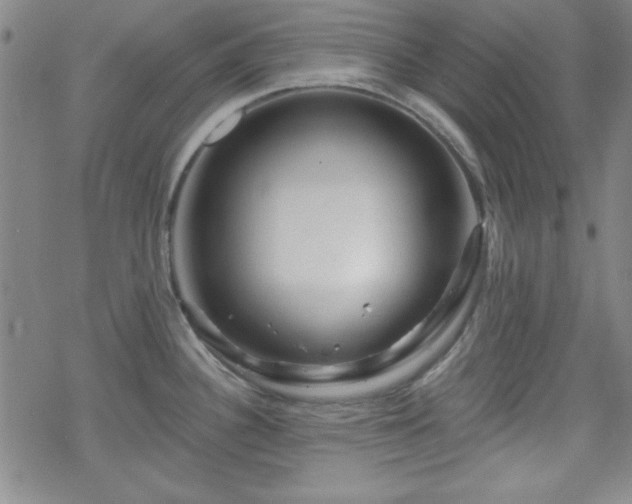 X0000070181340200606021023