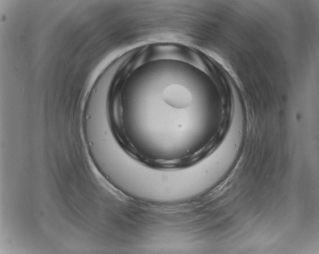 X0000070181342200606021023