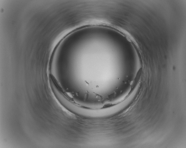 X0000070181343200606021023