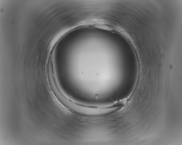 X0000070181344200606021023