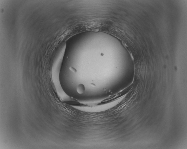 X0000070181345200606021022