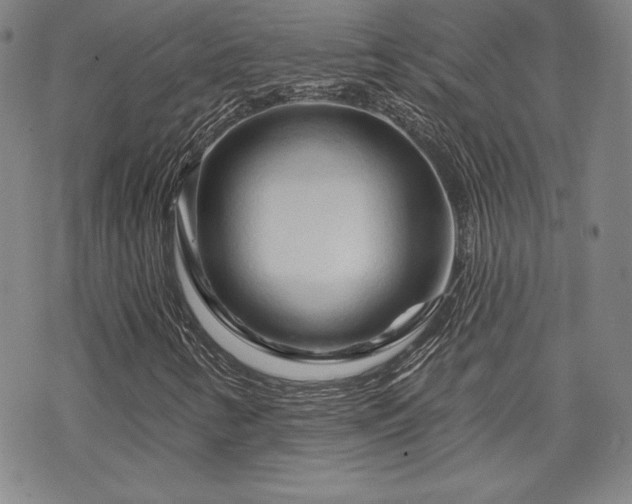 X0000070181346200606021022