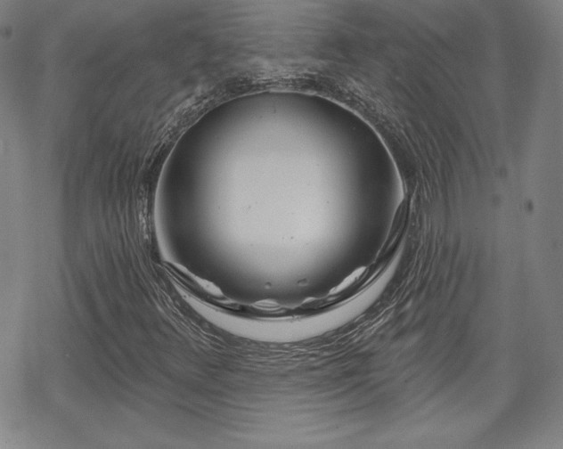 X0000070181348200606021022
