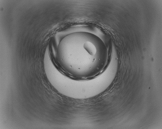 X0000070181349200606021022