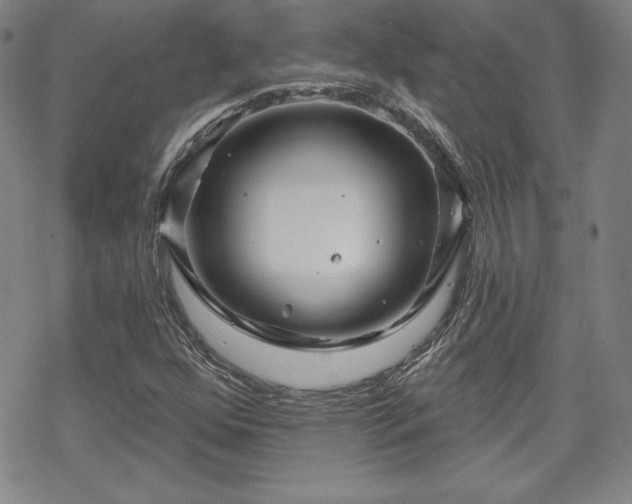 X0000070181352200606021022