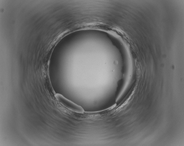 X0000070181353200606021022