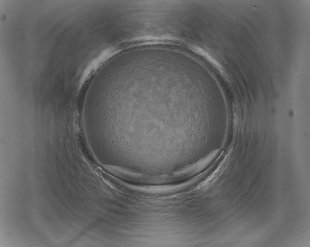 X0000070181357200606021022