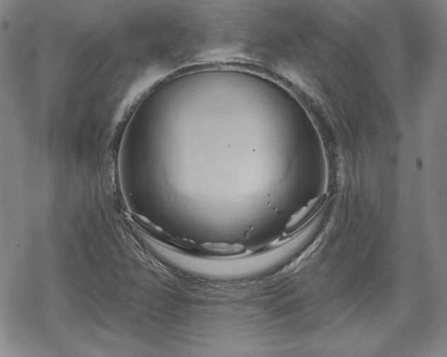 X0000070181358200606021022