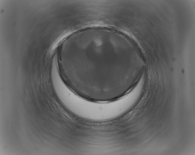 X0000070181359200606021022