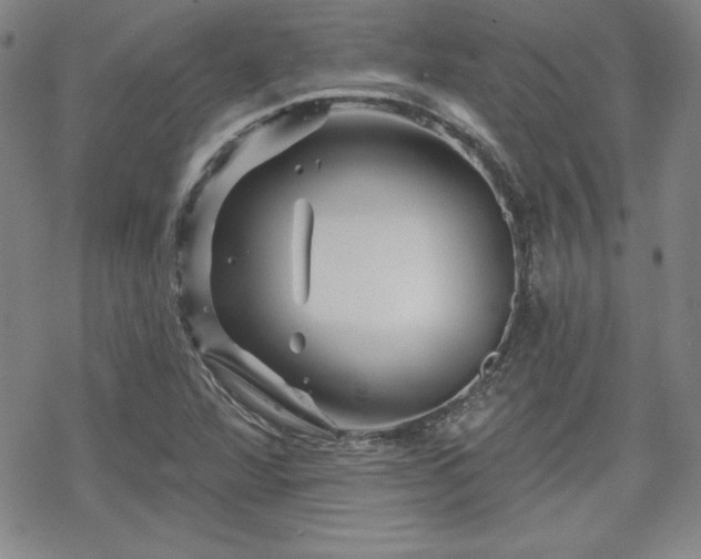 X0000070181360200606021022