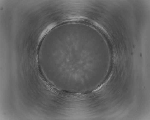 X0000070181362200606021022