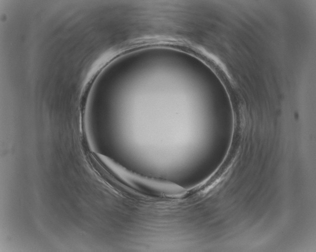 X0000070181365200606021022