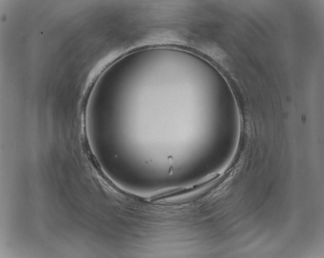 X0000070181366200606021022