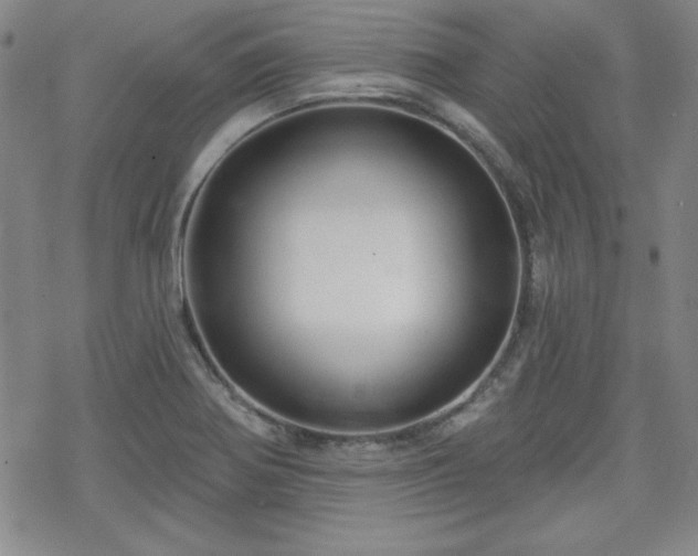 X0000070181370200606021022