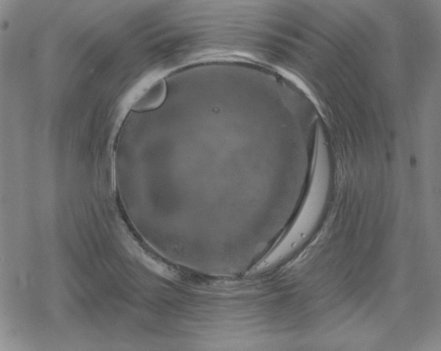 X0000070181371200606021022