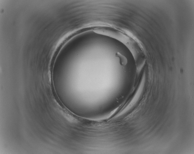 X0000070181372200606021022