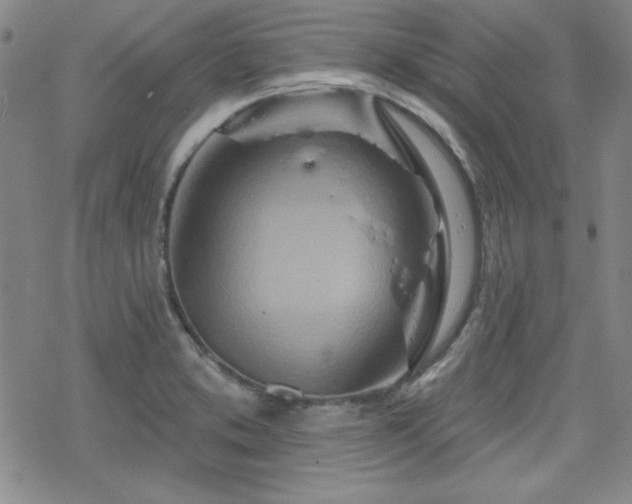 X0000070181373200606021022