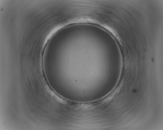 X0000070181374200606021022