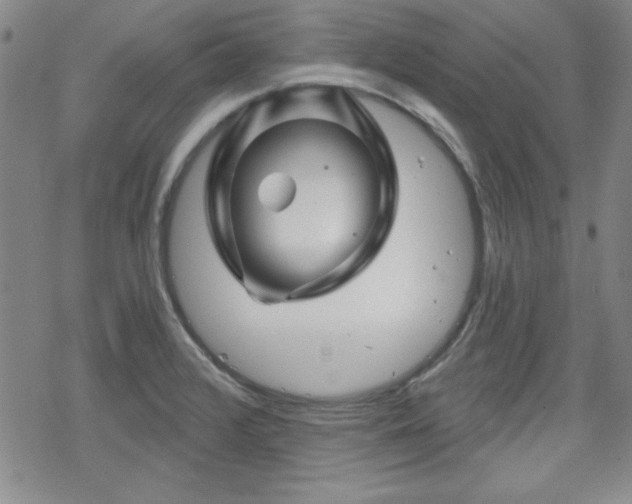 X0000070181376200606021022