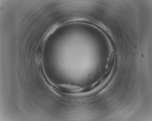 X0000070181377200606021022