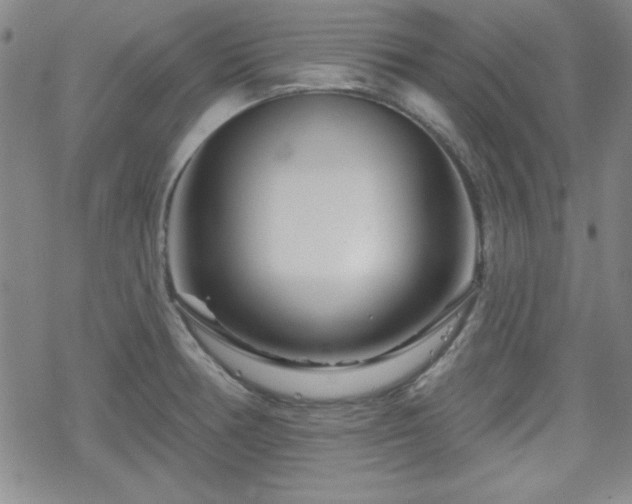 X0000070181378200606021022